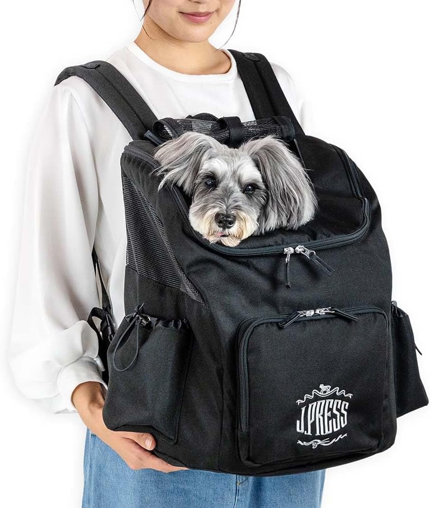 ELAN/学生・男性・足の大きめな女性でも/スキーセット/メンテ・WAX済み