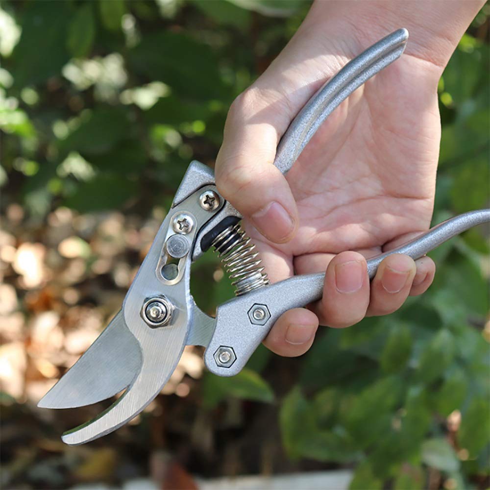 Strumento per innesto Cesoie per potatura per Alberi da frutto in Acciaio ad Alto tenore di Carbonio Potatori per Bonsai Cesoie da Giardino Cesoie da Giardinaggio Forbici da Giardino Hot