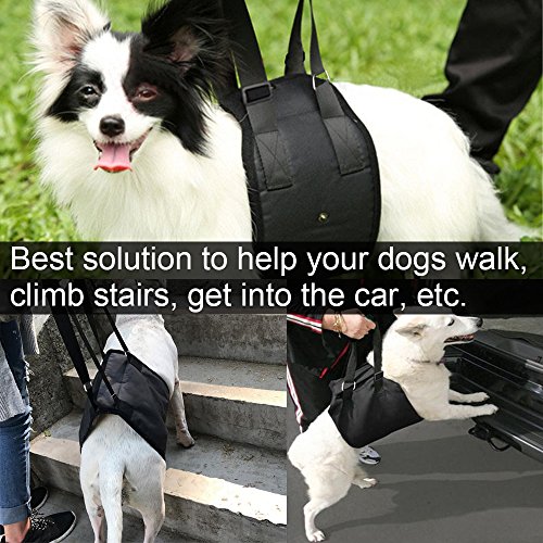 IN HAND Dog Support Harness, Dog Lift Harness with Adjustable Support Sling for Canine Aid, Helps Canine Arthritis, Rehabilitation, Poor Stability, Joint Injuries and Injured Dogs Walk