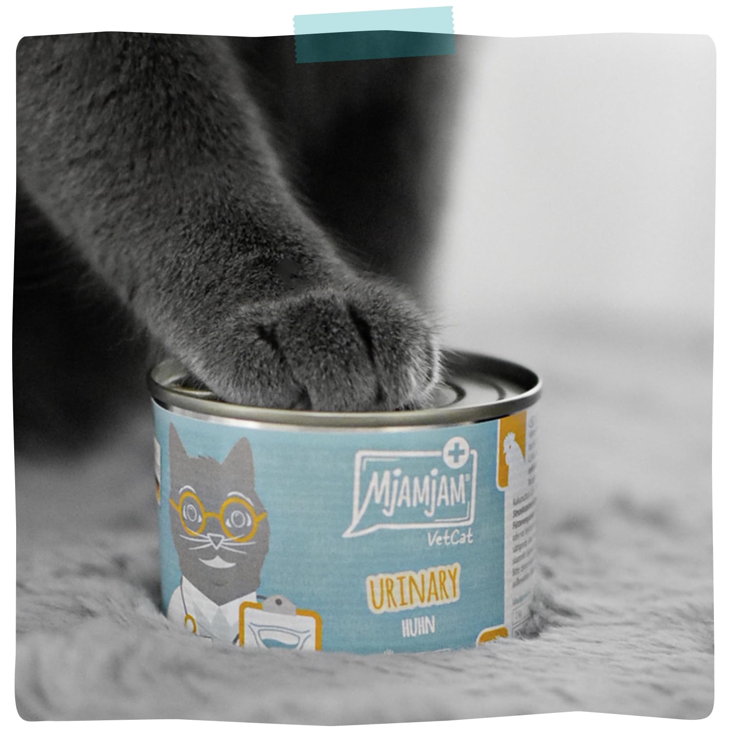 MjAMjAM VetCat - Premium Nourriture Humide pour Chats - Régime - Urinary - Poulet, Paquet de 6 (6 x 200g), sans céréales