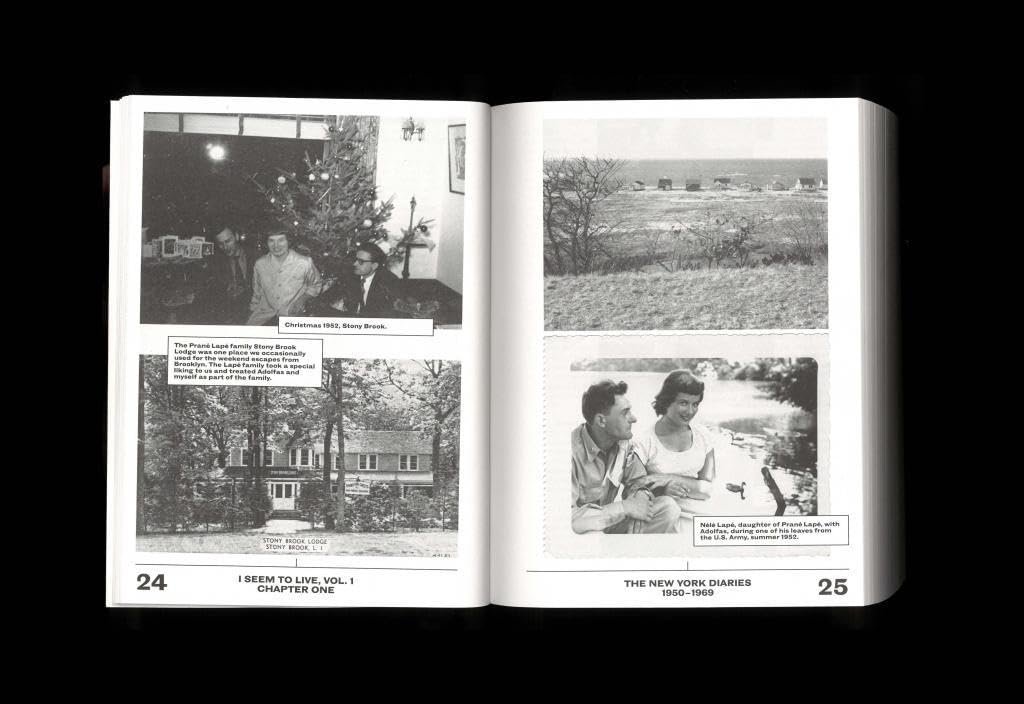 I Seem to Live: The New York Diaries, 1950–1969: Volume 1      Hardcover – Day to Day Calendar, February 11, 2020
