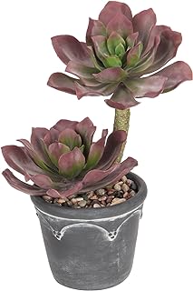 Arborus Artificial Succulents in Pot Artificial Plants Like Real Artificial Plants in Cement Pot 33 cm Artificial Plants for Decoration Aesthetic Room Decoration Office Decoration Kitchen Decoration