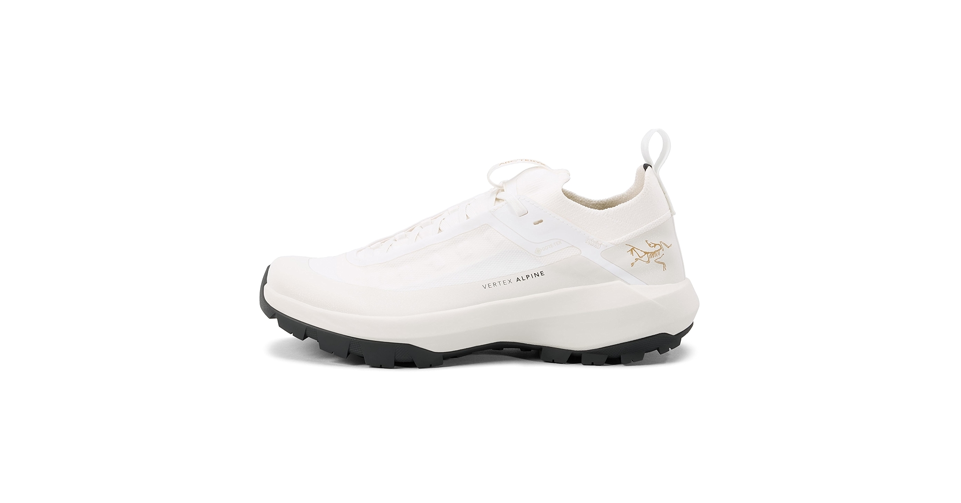 Amazon.com | Arc'teryx Vertex Alpine GTX Shoe Women's | Fast