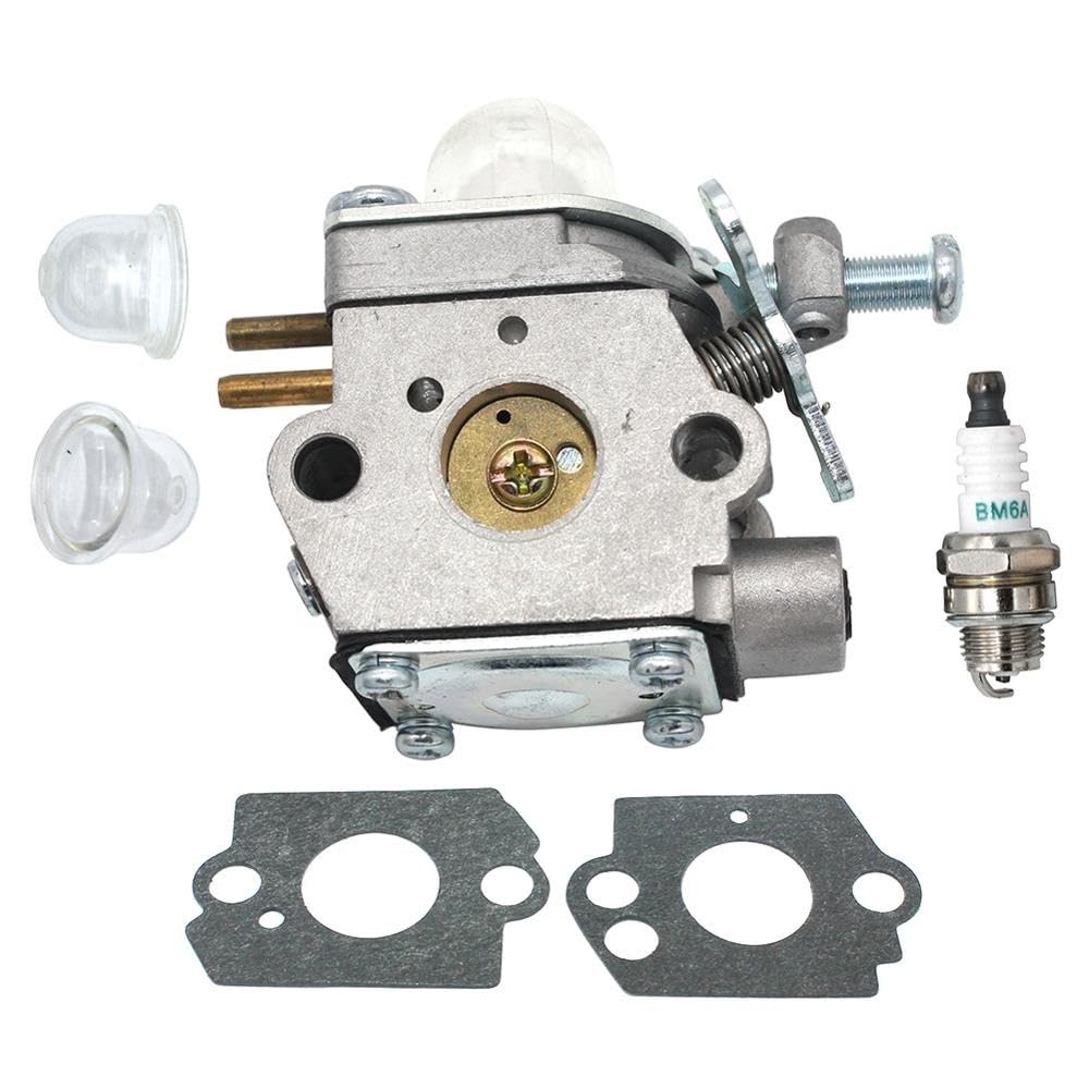 Tools parts Carburetor for MTD RM2510 RM2560 RM2570 RM2520 RM2700 M2500 RM2599 RM2750 H2500 BL110 BL160 H25B RM125 RM2510 RM2560 RM125 Accessories
