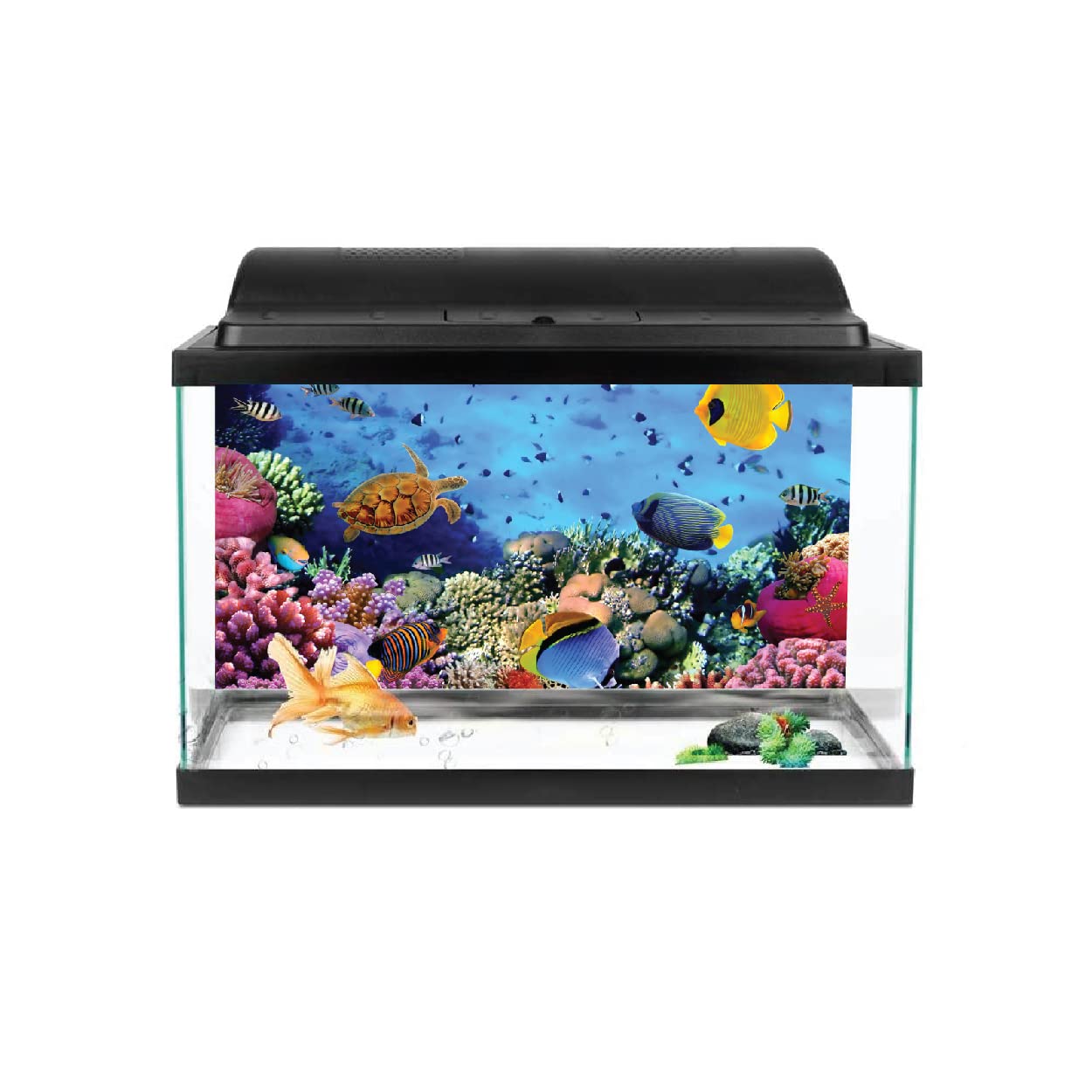 VVWV® Fish World Aquarium Background Stickers for Fish Tank Waterproof Vinyl Printed Sticker (76 X 46 CMS) (B0BWFFQ533) Amazon Price History, Amazon Price Tracker
