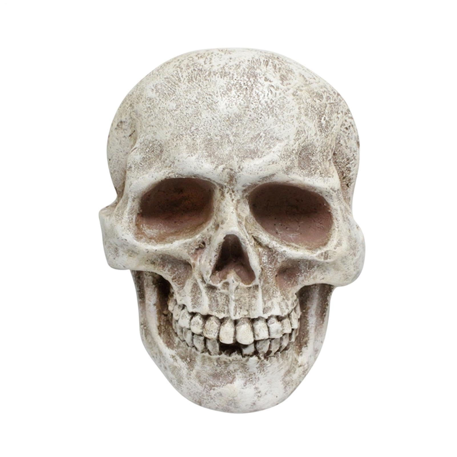 Cráneo decorativo de Halloween: cambia el ambiente de tu entrada y escritorio este año