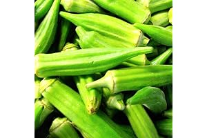 100 Clemson Spineless Okra Seeds for Planting | Non-GMO | Fresh Garden Seeds