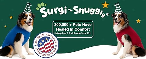 Miniatura 2 de Dog Cone  Collar alternativo para perros, fabricado con textiles estadounidenses para proteger las heridas de tu mascota, el traje de recuperación