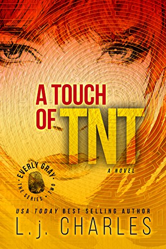 a Touch of TNT (Book 2 Romantic Mystery): The Everly Gray Adventures