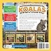The Nature Kid's Guide to Koalas: A Level 2 Reader for Curious Young Kids Who Love Koalas!