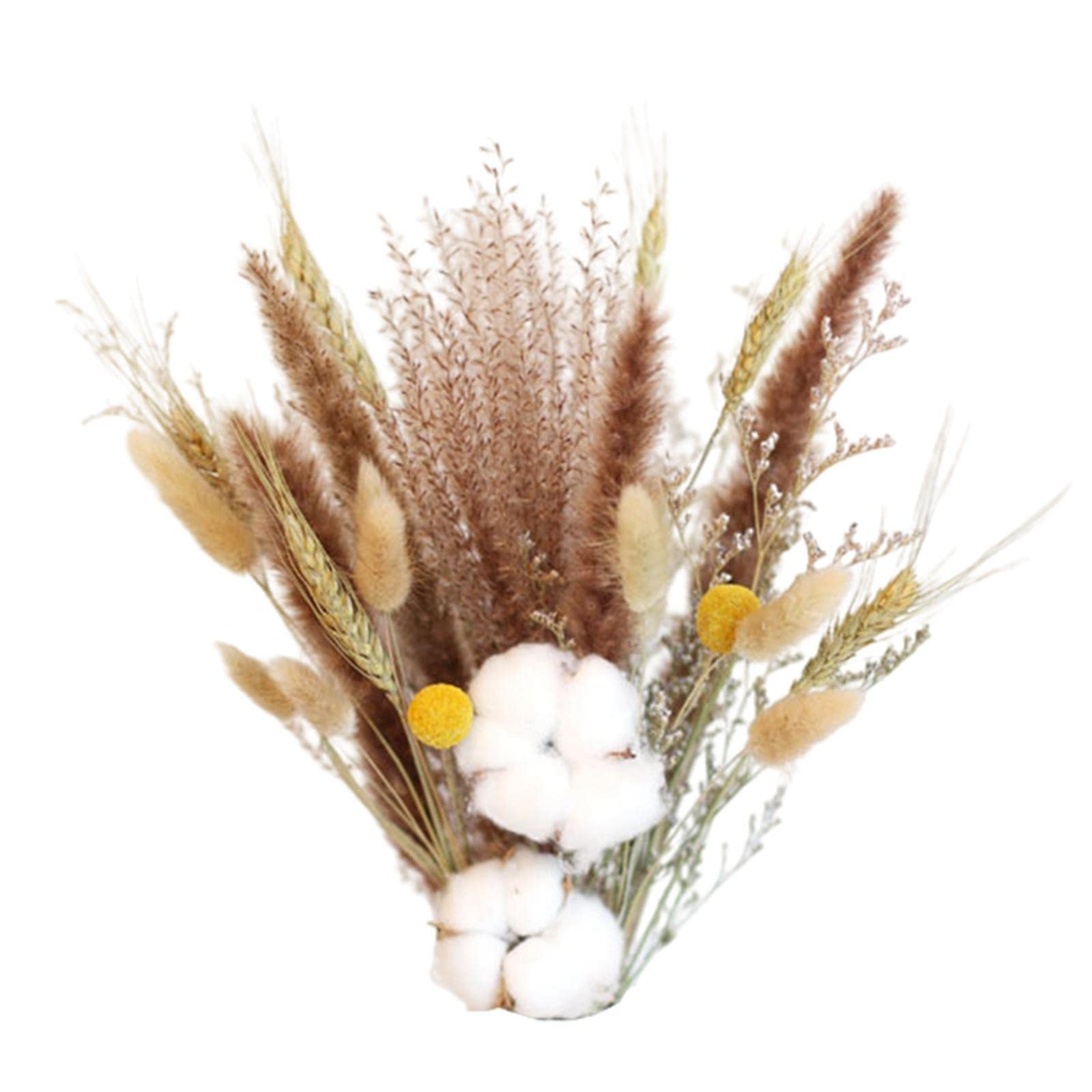 Enakshi® Dried Pampas Grass Phragmites Reed Flower Bunch Home Living Room Decor|Home & Garden | Home D?©cor | Floral D?©cor-image-28