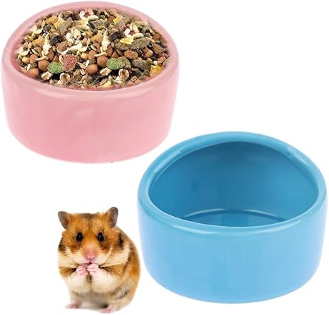 hamster bowl