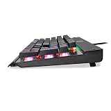 EagleTec KG010 Mechanical Keyboard Wired Ergonomic Clicky Blue Switch Equivalent for Office PC Home or Business (Black Keyboard RGB LED Backlit)