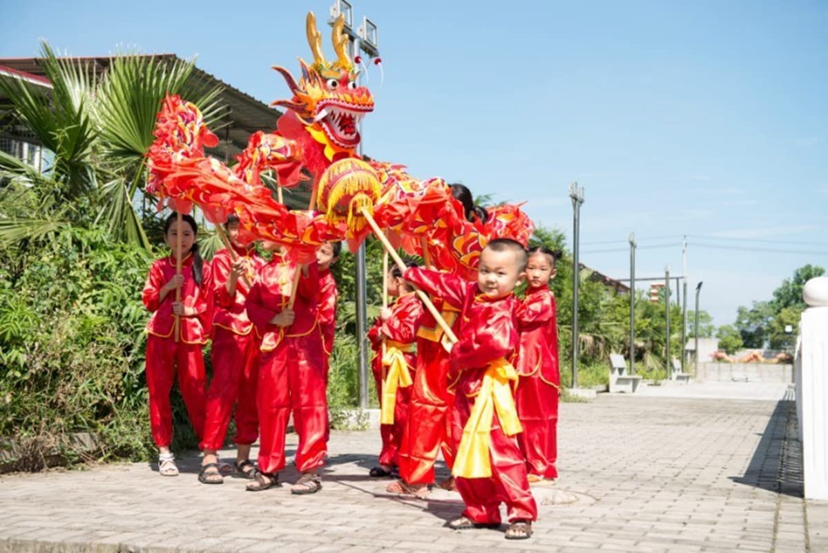 新品未使用　dance with dragon Amazon.com: Dragon Dance 7.9m (25.9 Ft) Dragon Dance with Led