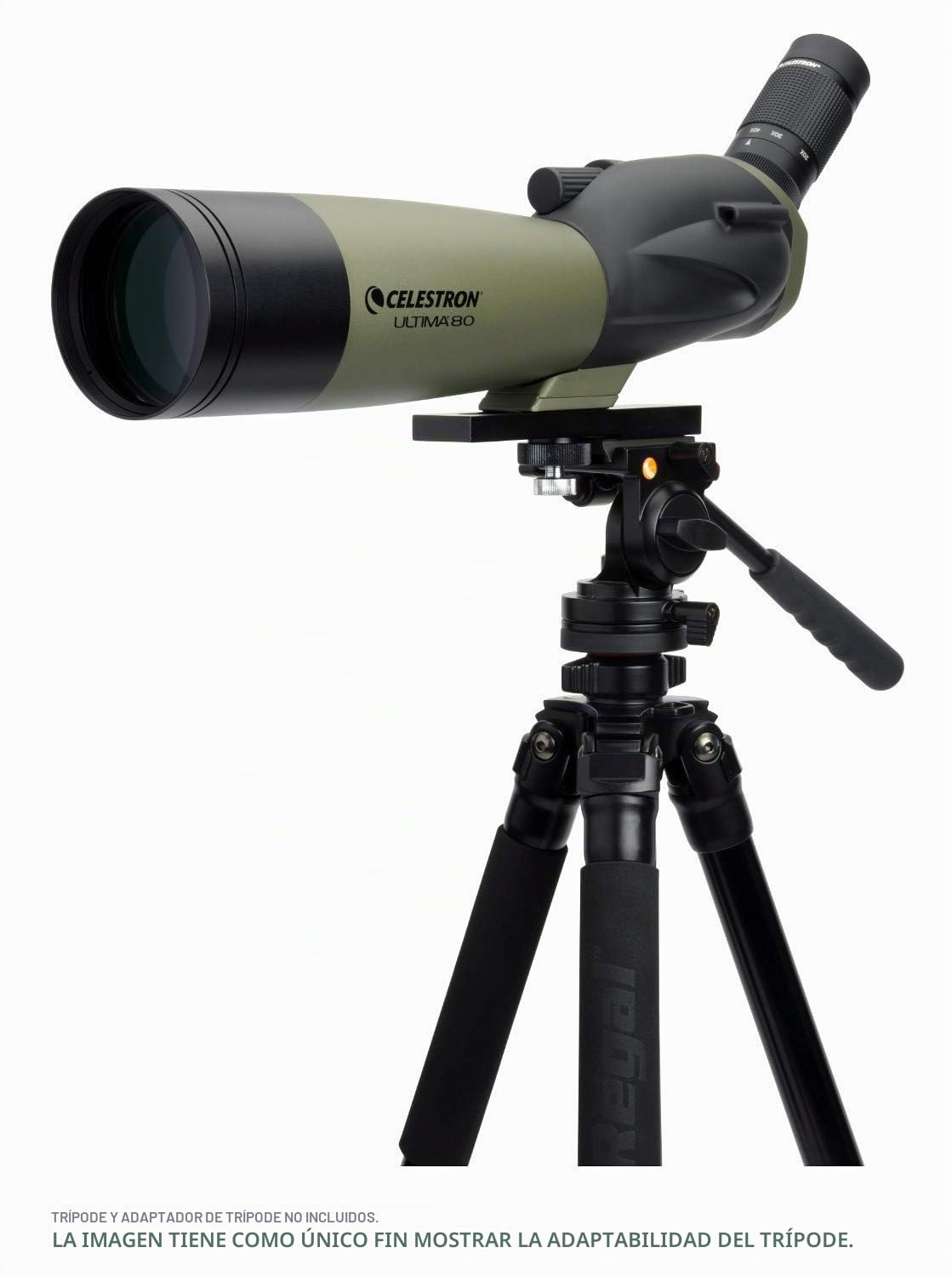 Celestron 52250 Ultima 20-60x80mm Telescopio Refractor Angular con óptica Multicapa, Tubo de Goma Impermeable y Funda de Transporte Blanda, Verde
