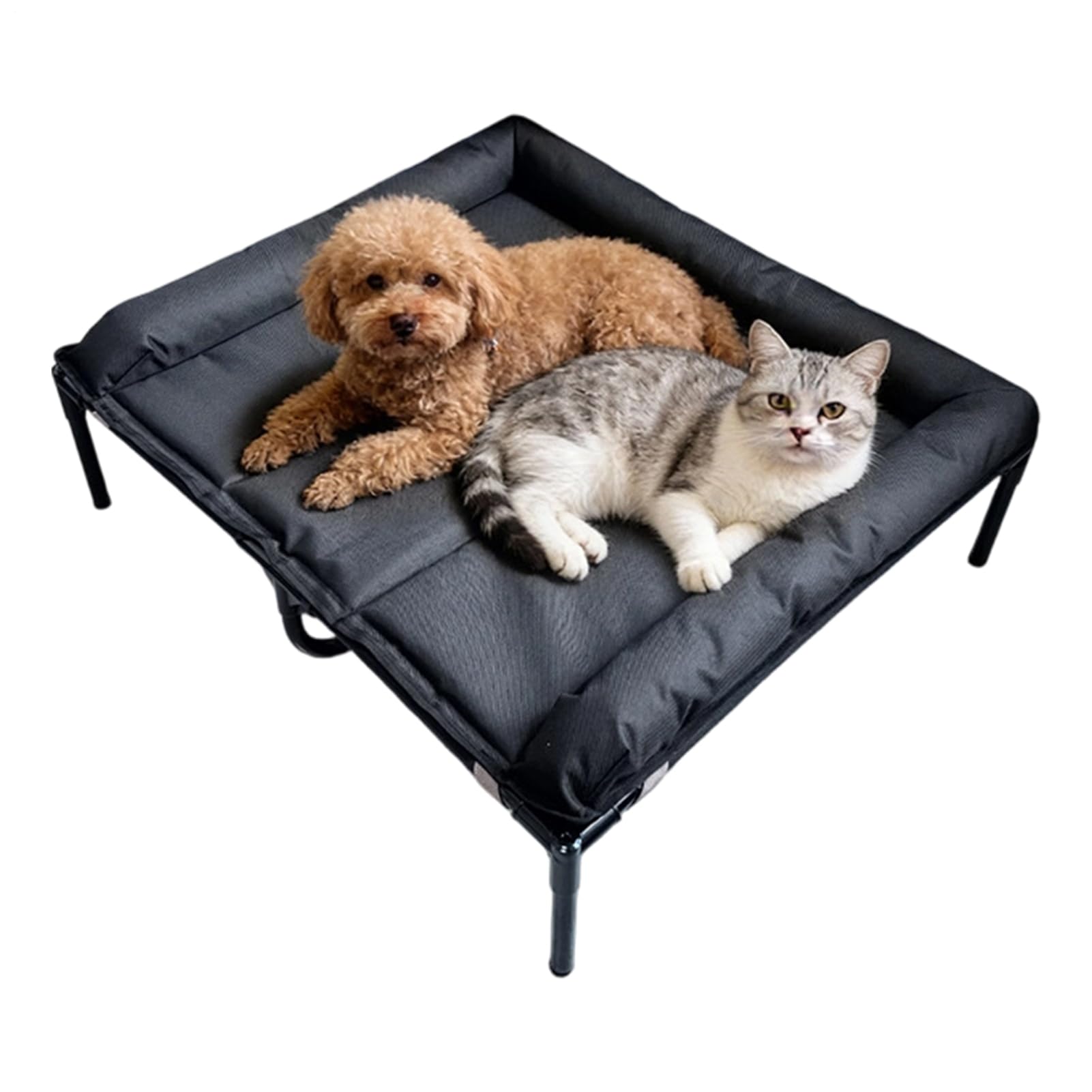 Lit surélevé pour animaux antidérapant avec tapis étanche en tissu Oxford