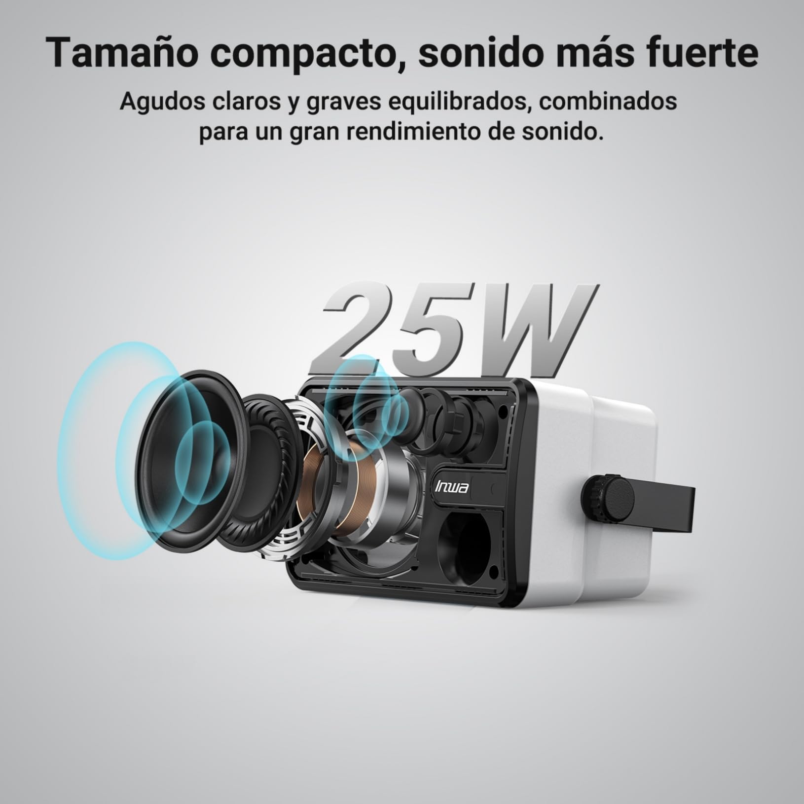 Inwa Altavoz Bluetooth Exterior, Potente Sistema de Sonido, Impermeable IPX5 Altavoces, 250W, (2 Unidades Sync Speaker & Adaptador AC/DC, 1 Control Remoto, RMS 25W)