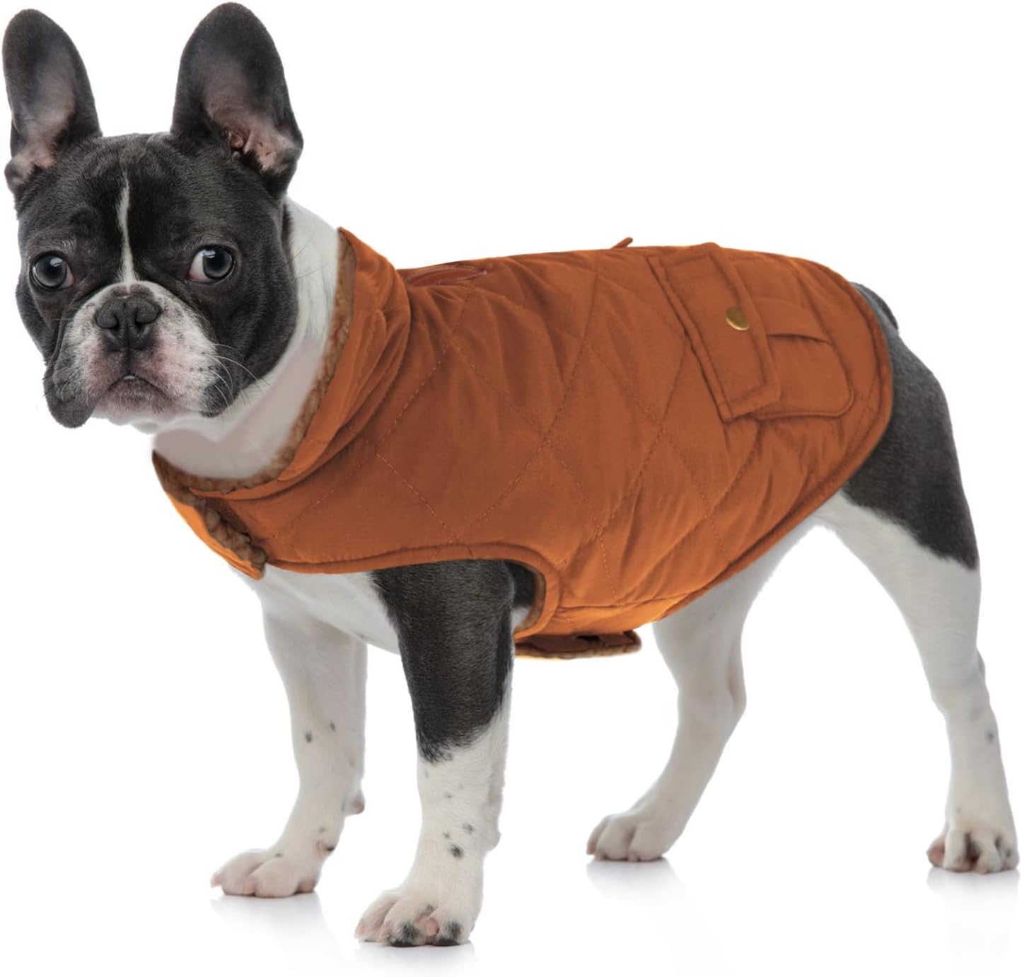 Queenmore Warm Dog Coat, Cold Weather Puffer Dog Jacket with Ultra Thick Plush Lining and Storage Pockets (Brown, Medium) - Image 6