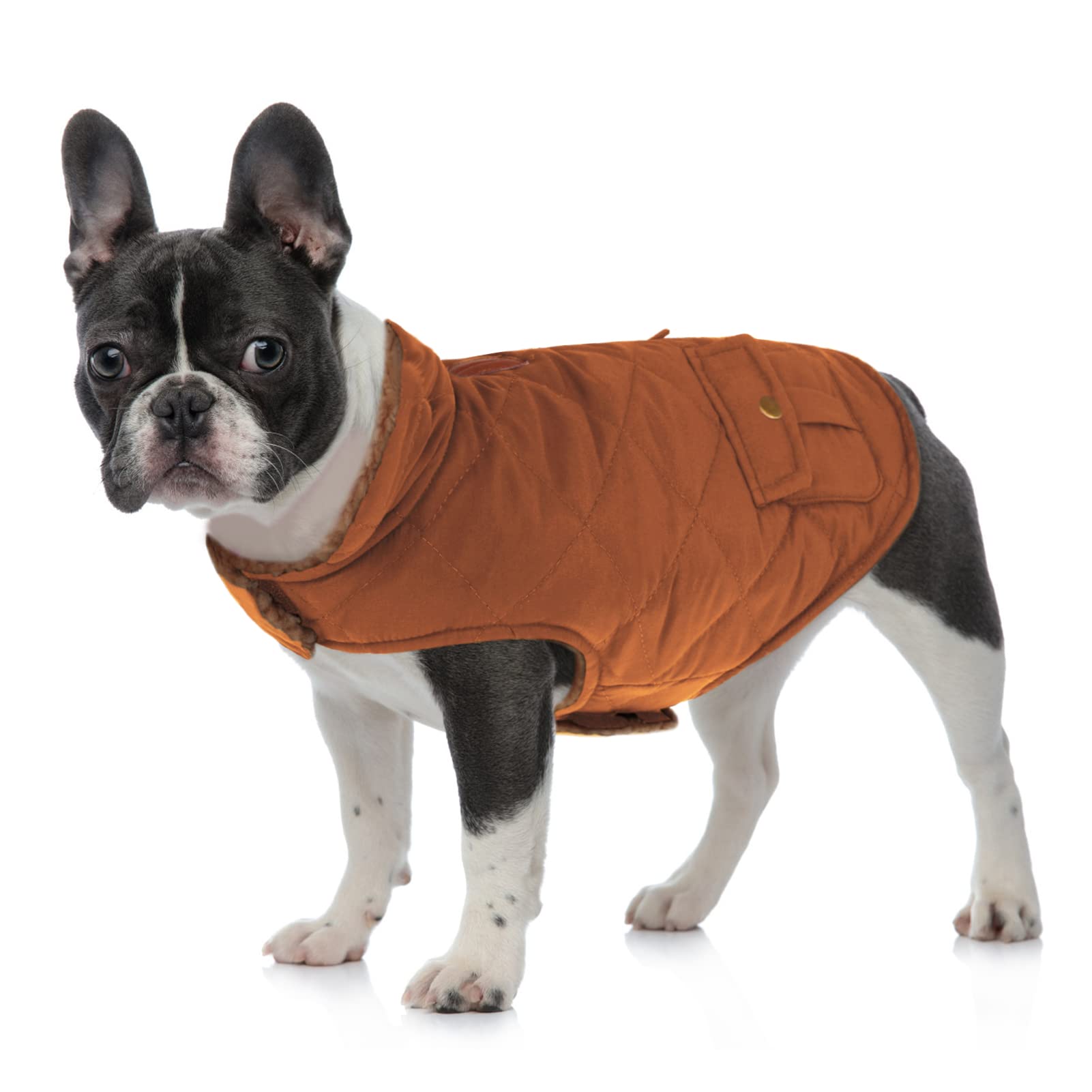 Queenmore Cappotto Cane Caldo Cappottino Cane Taglia Piccola Cappotto Impermeabile per Cani Giubbotto Invernale Pile Cane Vestiti per Cani Bassotto Bulldog Francese Chihuahua, Marrone, XS