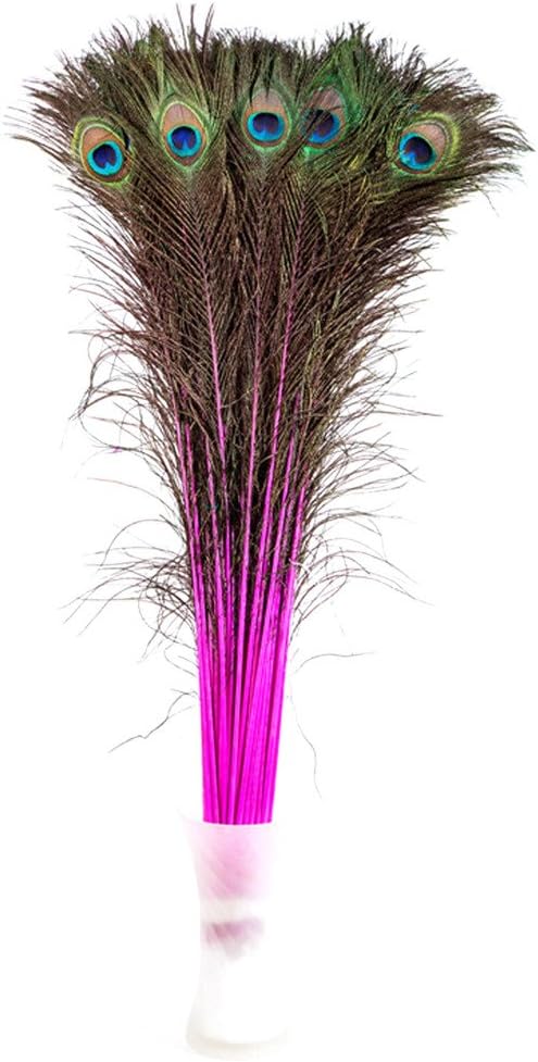 Peacock Feathers,Hgshow 25 Pcs Bleached & Dyeing Feather Long Pole 28-30 inches