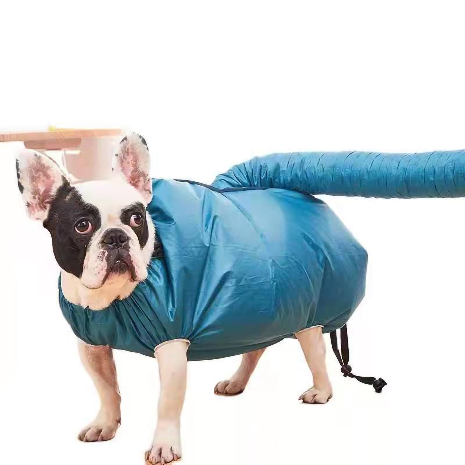 Abrigo De Secado Para Perros, Bolsa De Secado Para Perros, Abrigo Para Secador De Pelo Para Mascotas, Secador De Pelo Para Perros, Bolsa Portátil De Secado Rápido Para Mascotas(S(5-13斤))
