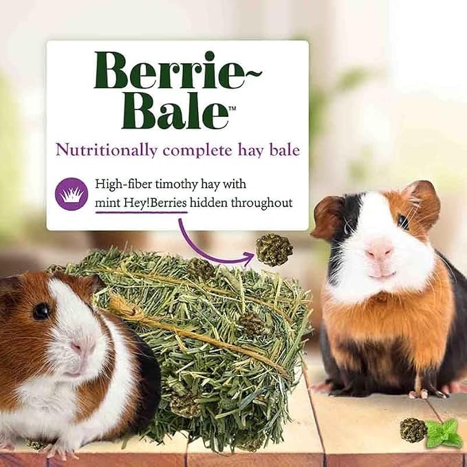 Lafebers Berrie-Bale Menta para Cobayas 1 lb miniatura 2