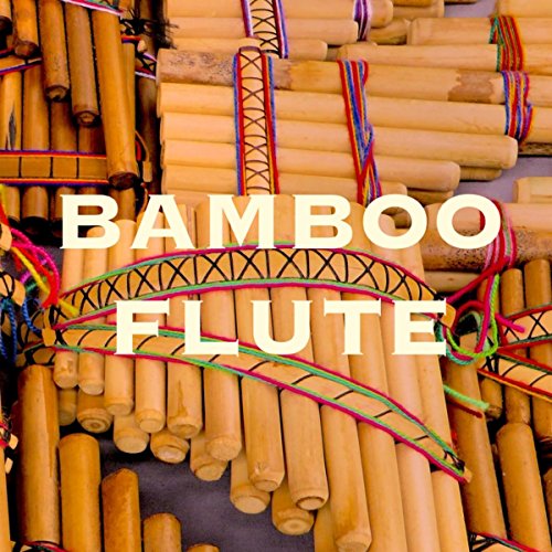 Bamboo Flute Musique Asiatique pour Méditation Trascendental et