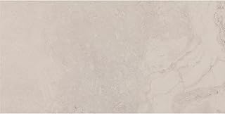 Daltile Archaia 12 x 24 Glazed Porcelain Floor Tile (9 PC Per Carton) (1...