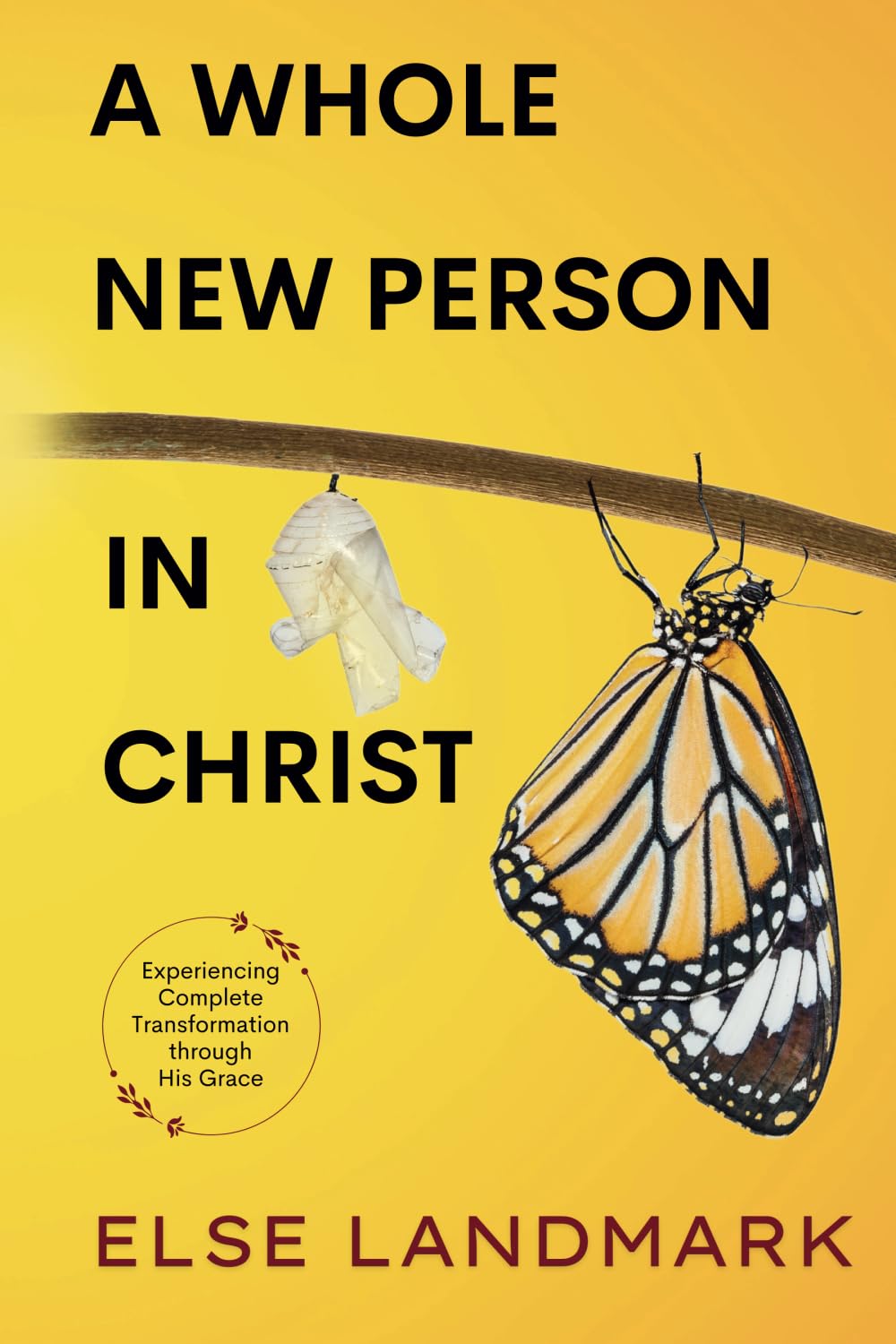 A Whole New Person in Christ: Experiencing Complete Transformation through His Grace