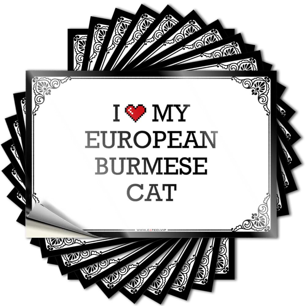 Funny Sticker Man Cave Decor Easy Apply | I Love My European Burmese Cat Motivational Helmet Peel and Stick(12X18CM)