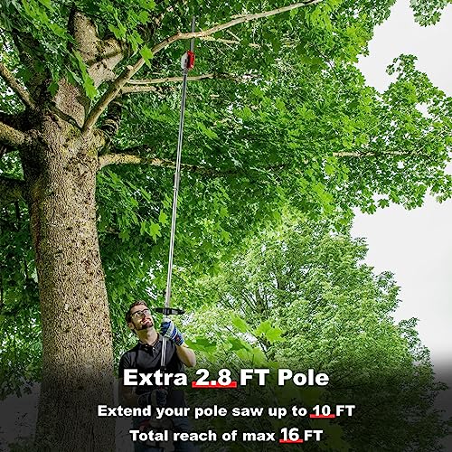 58CC Gas Pole Saw Long Reach