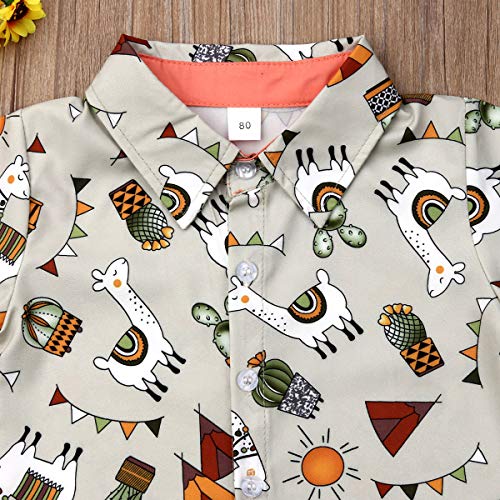 Toddler Baby Boy Clothes Short Sleeve Shirt Button Down Dinosaur Top Short Pants Summer Outfits Set (Little Alpaca Shirt & Grey Shorts, 18-24 Months) #TOP3