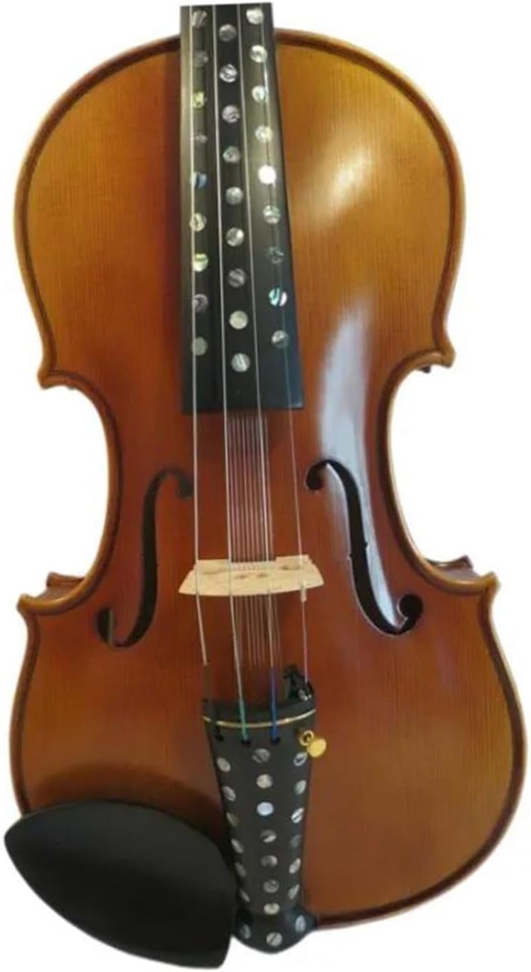 Fender Newporter Player SB WN 美品 Fender Newporter Player : Le