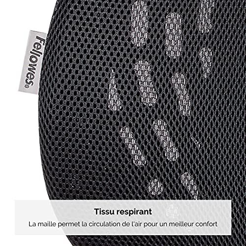 Support dorsal Fellowes 8026401 ergonomique noir pour chaise