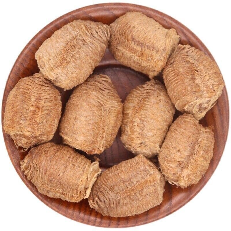 Sang Piao Shao, Mantis 15 Praying Mantis Egg-Case Dried Dead Will not Hatch