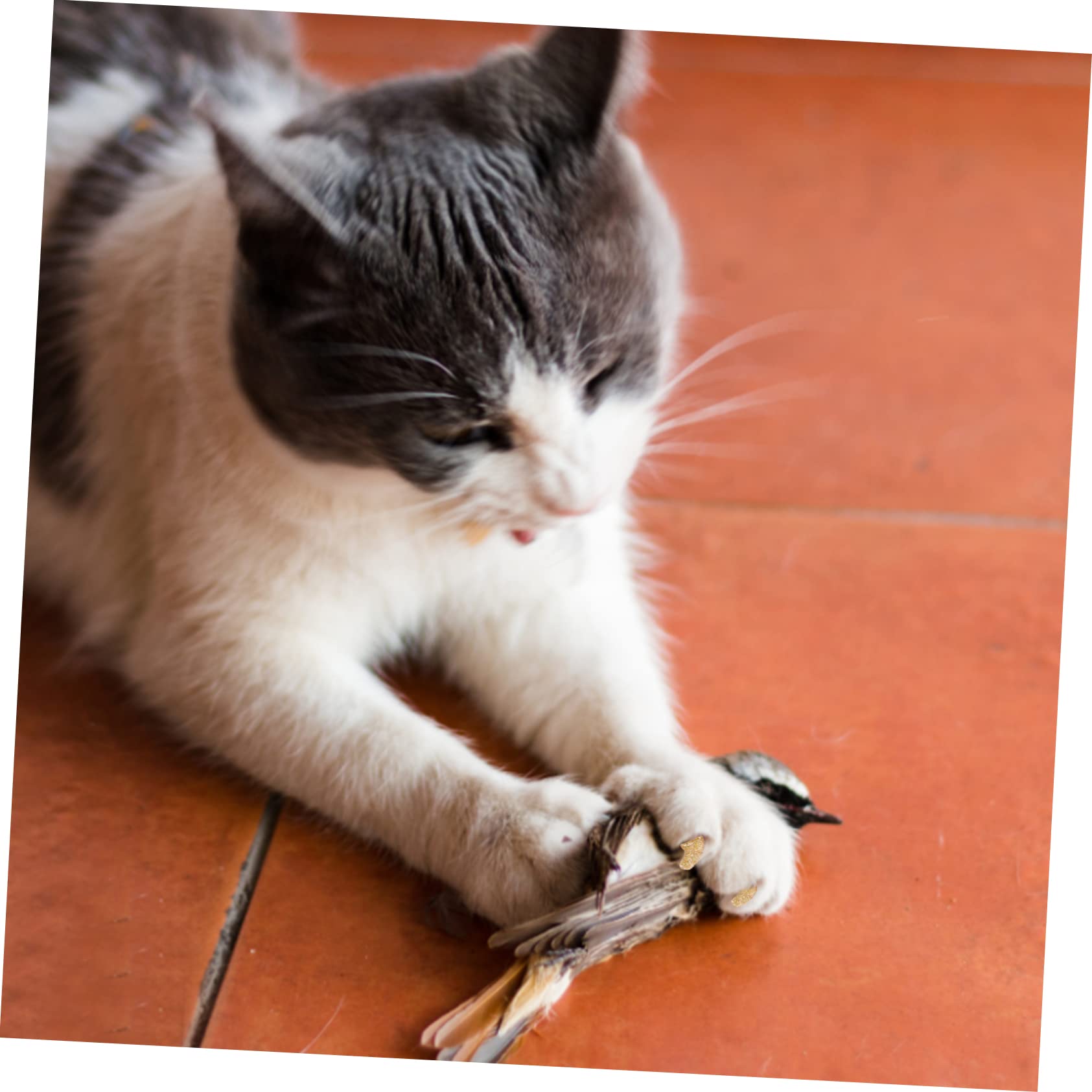 HANABASS 40juegos Cubiertas De Uñas para Mascotas De Silicona Coloridas De Protección para Gatos y Perros Antarañazos Cómodas y Seguras