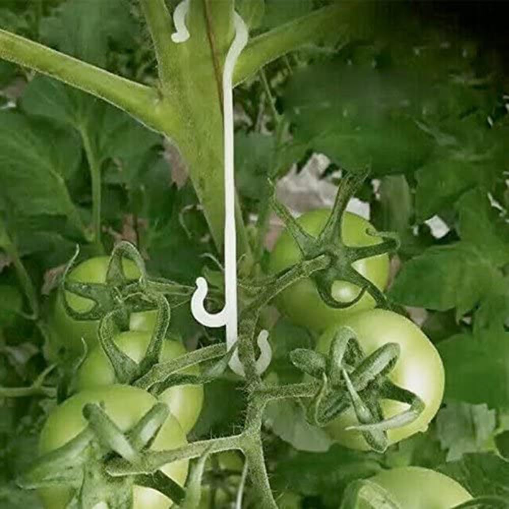 for HPLIVE 50/100pcs 13cm Tomato Holder J Hook Plant Tomato Clips Falling