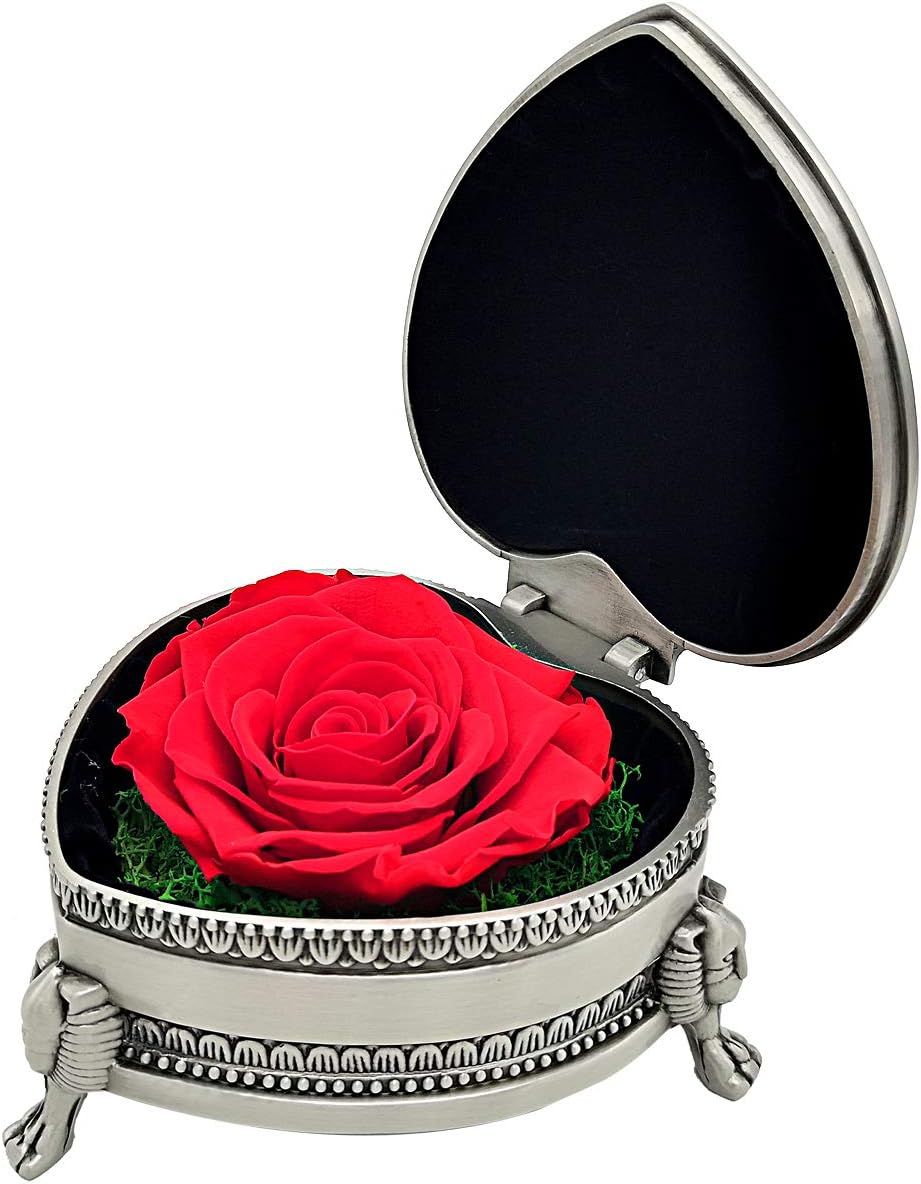 Grunyia Preserved Flowers Roses, Morther's Day Gifts, Presents for Mom, Eternal Rose for Love Ones, Gift for Valentine's Day, Christmas Eve, Anniversary,Christmas, Holiday Present (Red)