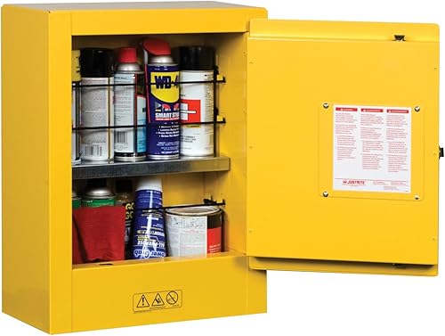 Justrite 890200 - Gabinete para almacenamiento de seguridad, de tamaño pequeño, para almacenar productos inflamables, manual, con 1 puerta, de acero