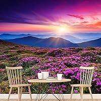 Wall Mural Sunset Sunrise Background Nature Scenery Removable Self-Adhesive Wallpaper Wall Decoration for Bedroom Living Room - 66x96 inches