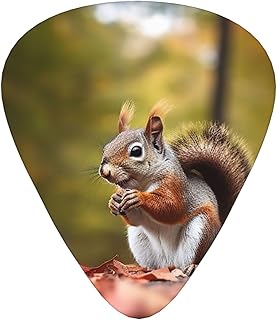 Cute Squirrel Guitar Picks 12 Pack Bass Picks with Organizer Box Guitar Plectrum Includes Thin Medium Heavy Guitar Picks Ukulele Picks for Bass Acoustic Electric Guitars