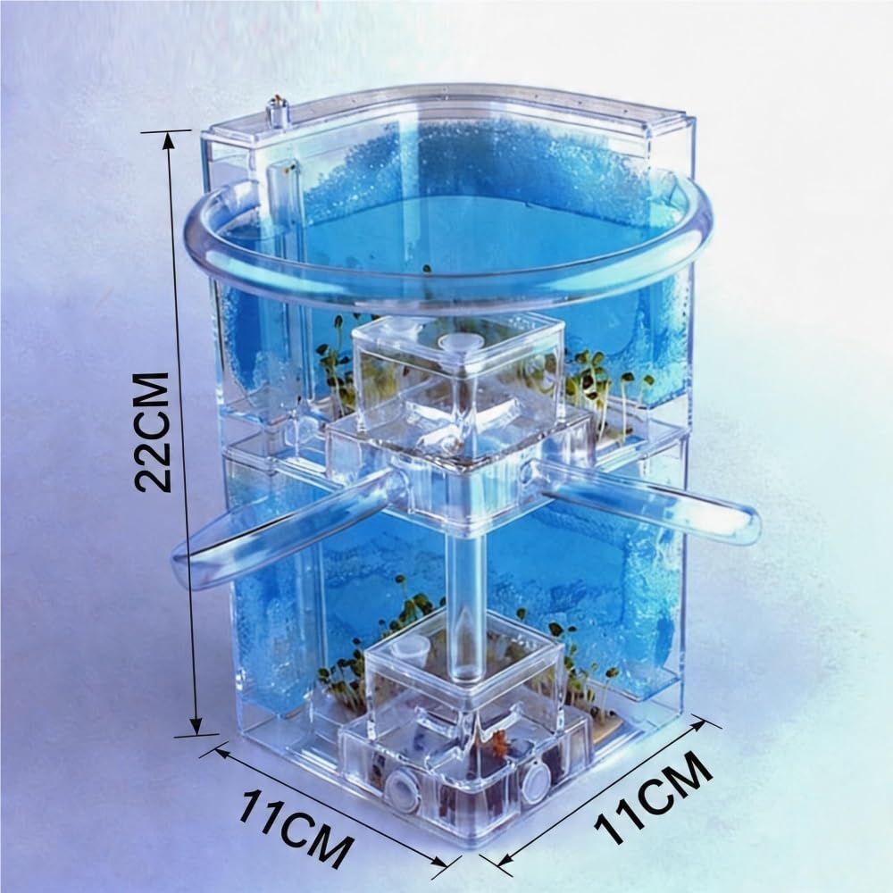 Doppelschichtiges Ameisenfarm-Formicarium aus Acryl, stapelbarer Ameisennest-Lebensraum, erweiterbare Zuchtbox mit 360°-Ansicht for Haltung und Beobachtung(Green)