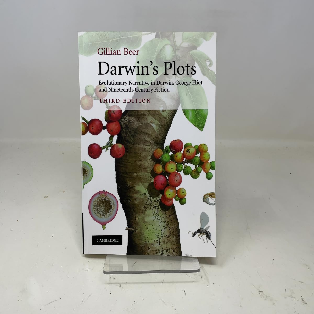 Darwin's Plots: Evolutionary Narrative in Darwin, George Eliot and Nineteenth-Century Fiction