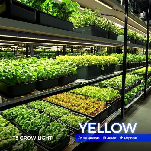 Image of Barrina T5 Grow Lights for Indoor Plants, 4FT 160W (8 X 20W) Plant Grow Lights Indoor with Magnetic Bar, Linkable Plant Growing Lamps with Black Cover, Plug and Play, Yellow, 8 Packs
