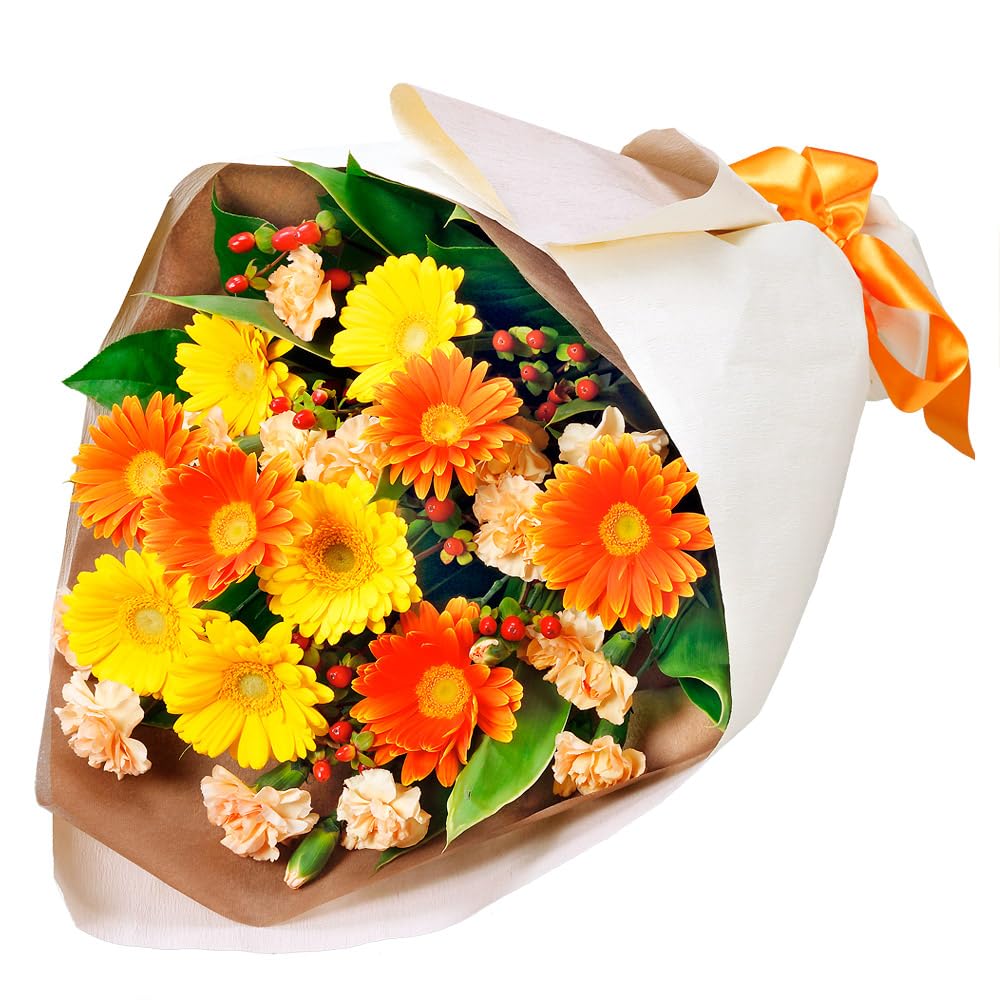 Amazon｜11月の誕生花（ガーベラ） 花キューピット 誕生日