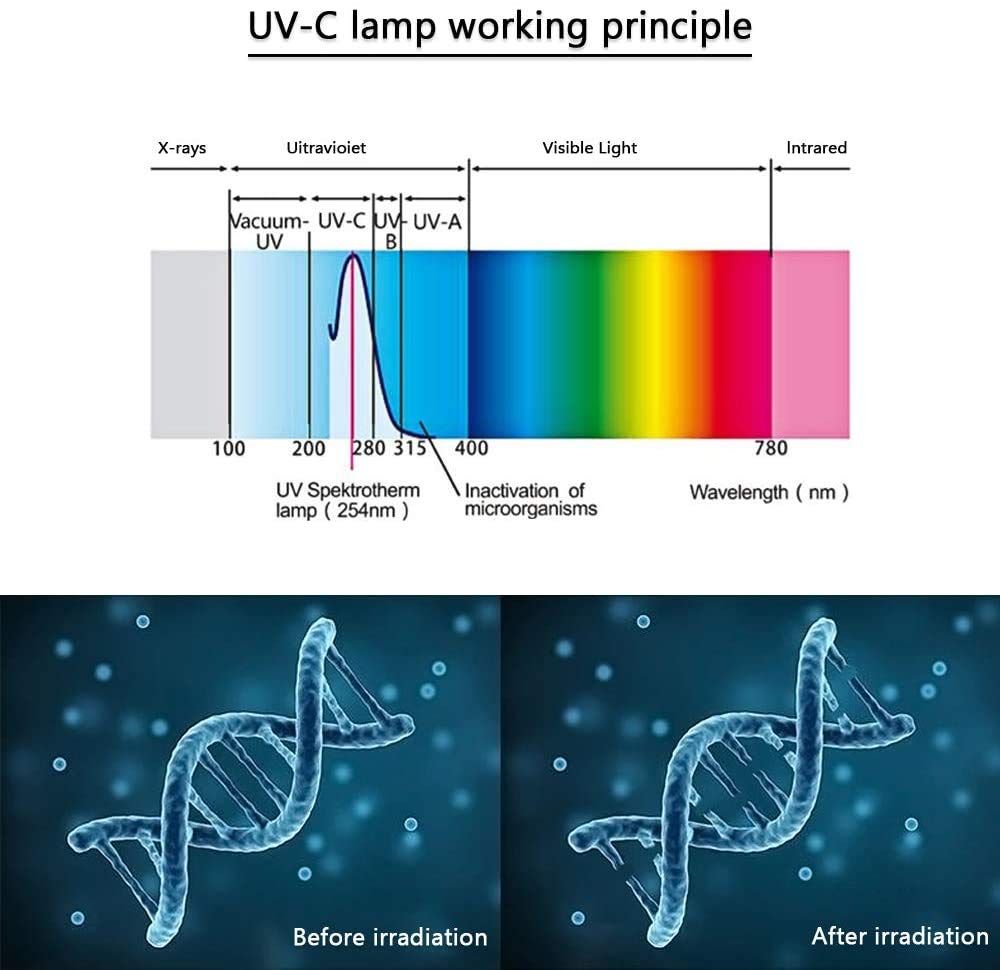 Lámpara germicida para esterilización UVC portátil, lámpara germicida Ultravioleta, portátil con carga USB, luz desinfectante multifunción para los viajes de oficinas domésticas.
