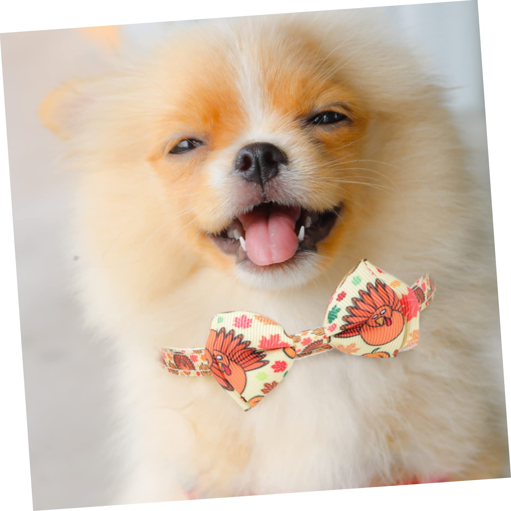 Didiseaon 10pezzi Collare Decorativo Per Animali Domestici Con Fiocco Per Cani e Gatti Per Festività e Compleanni Collana Chic Per Cani e Gatti Accessori Per Animali Domestici