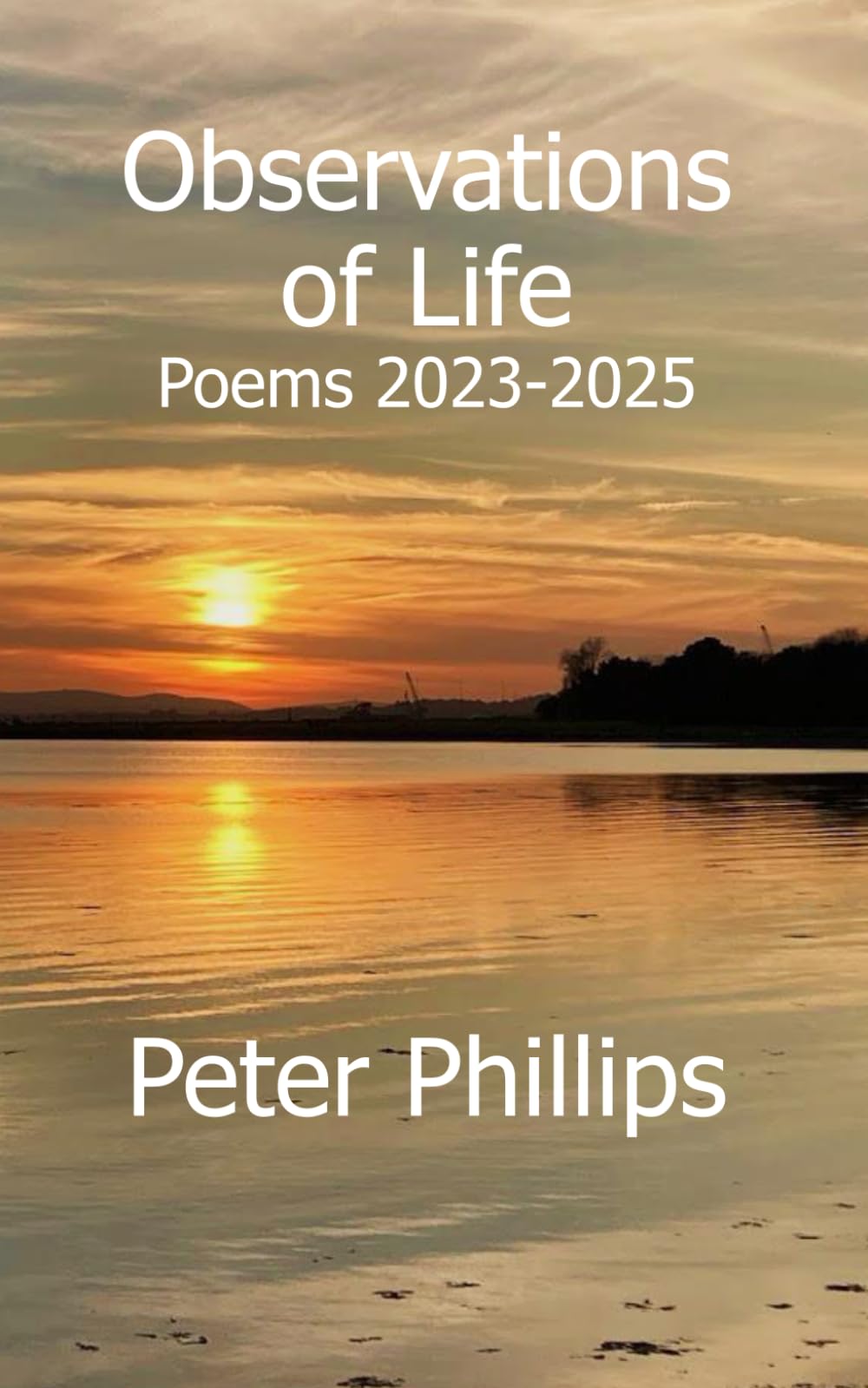 Observations of Life: Poems 2023-2025