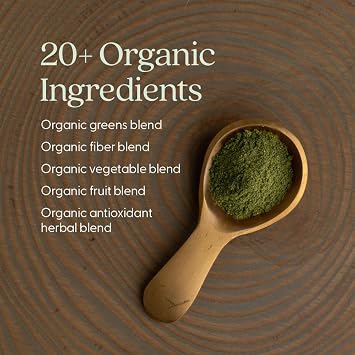 New Chapter All-Flora Digestive Super Greens Powder for Gut Health - Clinical-Strength Digestive Enzymes + USDA Organic Chlorella, Spirulina, Fermented Greens Delicious & 100% Vegan, 30 Servings