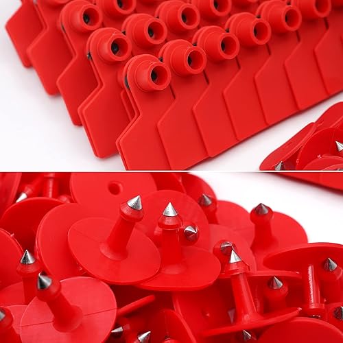 Miniatura 5 de Etiquetas de oído en blanco, 100 unidades, etiquetas de oído de ganado, tarjetas de identificación de ganado en blanco para ganado, vaca, cerdo,